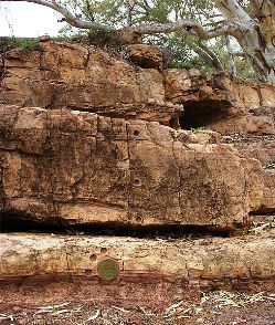 Ediacaran golden spike, Australia. The base of the unit is defined here - so delimiting the most recently defined Period of the geological timescale.